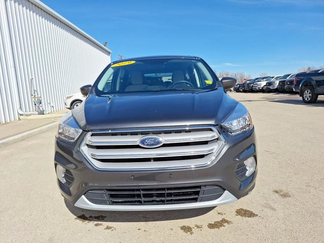 2019 Ford Escape SE - Heated Seats - Android Auto in Cars & Trucks in Portage la Prairie - Image 4