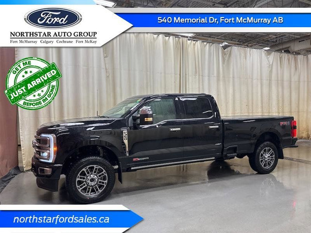 2025 FORD Super Duty F-350 SRW Platinum in Cars & Trucks in Calgary - Image 2