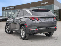 *Heated Seats, Apple CarPlay, Android Auto, Heated Steering Wheel, Adaptive Cruise Control! * Highwa... (image 3)