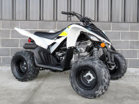 2022 Yamaha Raptor 90