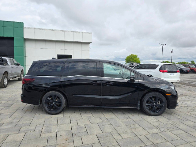 2023 Honda Odyssey in Cars & Trucks in Ottawa - Image 4