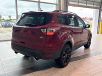 ENGINE: 2.0L ECOBOOST GTDI I-4, MULTI-ZONE A/C, HEATED FRONT SEATS Are you ready for a dependable co... (image 8)