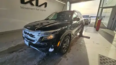 Kia Seltos EX
