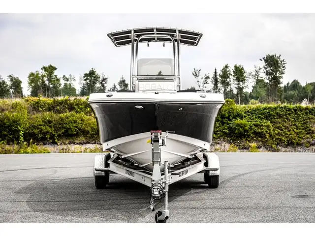 2020 Robalo R202 Explorer in Powerboats & Motorboats in Québec City - Image 6