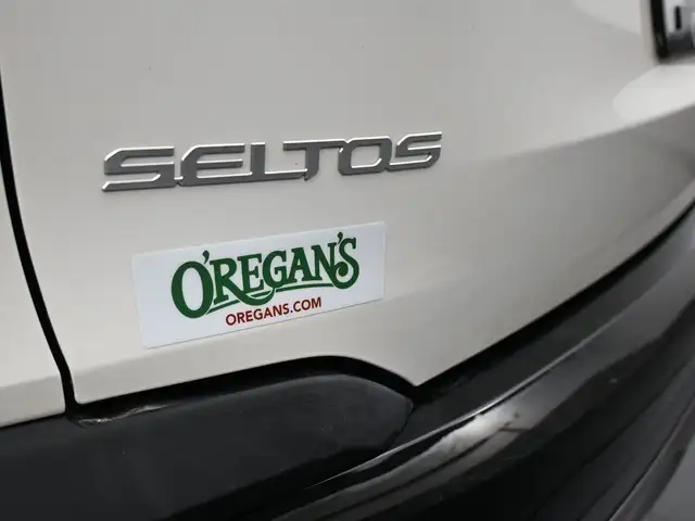 2025 Kia Seltos EX EX AWD SUNROOF, LEATHER, HEATED SEATS in Cars & Trucks in City of Halifax - Image 15