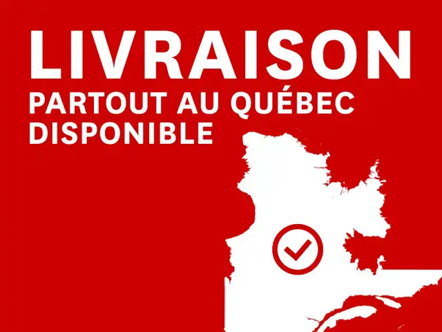 2017 Nissan Sentra SV BAS KILOMÉTRAGE, CAMÉRA DE RECUL,  RÉGULAT in Cars & Trucks in Longueuil / South Shore - Image 21