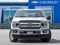 Ready for anything, built for everything. The 2019 Ford F-150 XLT 4x4 stands as a testament to Ameri... (image 1)