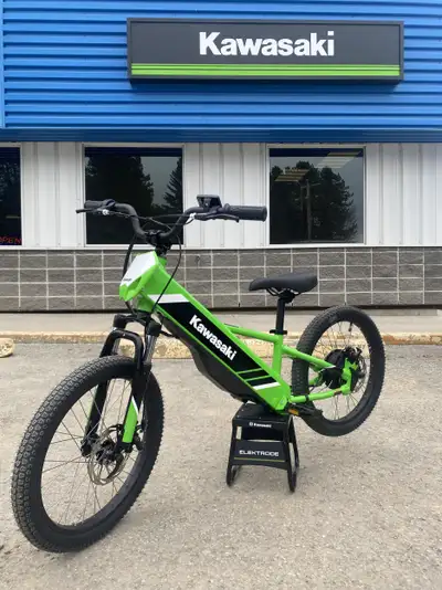 Recommended Age: 8+ Max Speed: 13 mph (3 selectable modes) Motor: 250W brushless in-wheel hub motor...