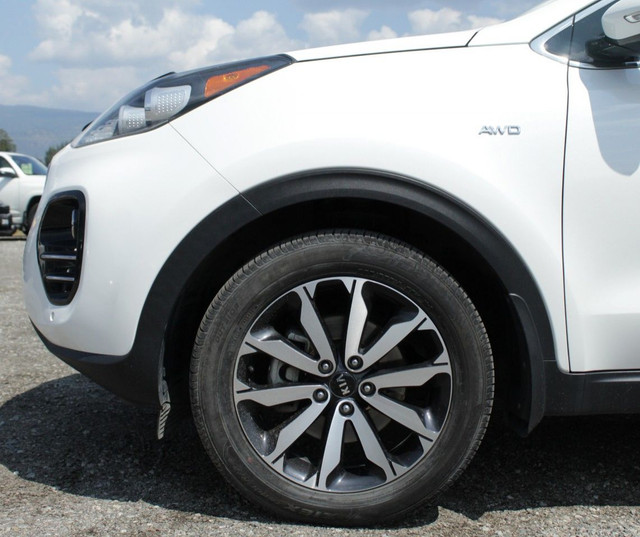 2019 Kia Sportage in Cars & Trucks in Penticton - Image 4