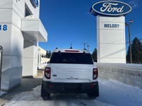 Big Bend 4x4 Engine: 1.5L ECOBOOST (image 4)