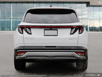 *Why choose 401 Dixie Hyundai for your next Hyundai?* Forget the trip to multiple Hyundai stores in... (image 4)