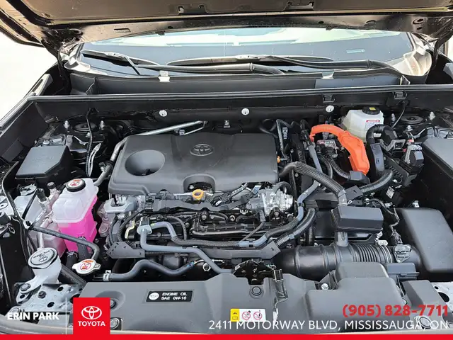 2025 Toyota RAV4 Hybrid XLE in Cars & Trucks in Oakville / Halton Region - Image 9