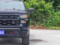 - Trailering Package - Off-Road Suspension - HD Rear Vision Camera - LED Durabed Lighting - Remote S... (image 5)