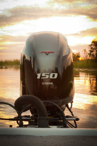 Yamaha VF150 VMAX SHO Outboard YMPP 5 years