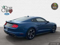 - ACCIDENT FREE - CLOTH SEATS - DUAL ZONE TEMP CONTROL - FORDPASS CONNECT - BLIND SPOT MONITOR - LAN... (image 5)
