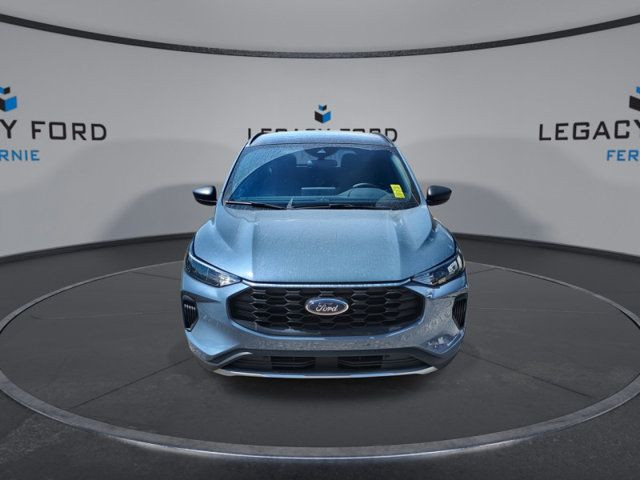 2025 Ford Escape ST-Line in Cars & Trucks in Cranbrook - Image 4