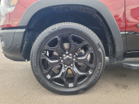 All Services Completed, One Owner verified, Accident Free, Tonneau Cover, 48-Volt Belt Starter Gener... (image 9)