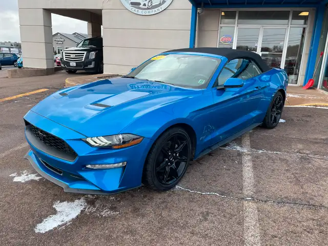 2019 Ford Mustang EcoBoost Premium Heated Seats, Backup Camera in Cars & Trucks in Charlottetown - Image 4
