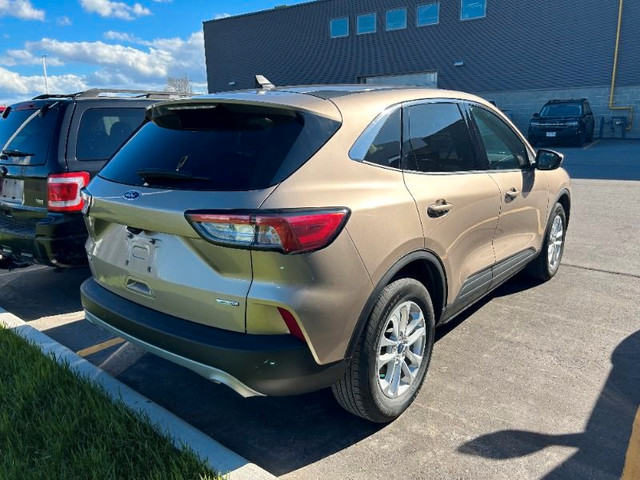  2020 Ford Escape SE *200A, Co-Pilot with Nav, Adaptive Cruise* in Cars & Trucks in Kawartha Lakes - Image 4