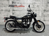 2019 Kawasaki W800 Street ABS