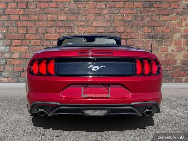 2020 Ford Mustang Ecoboost Premium62938484031875123