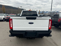 *Heavy Duty Suspension, Tow Package, Apple CarPlay, Android Auto, 5G Wi-Fi!* Brutish power and paylo... (image 3)