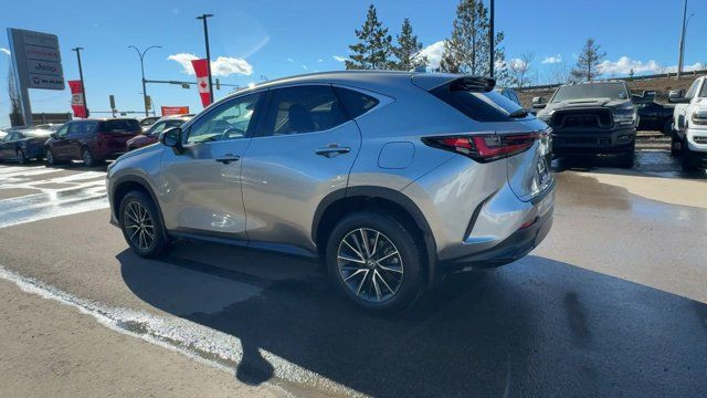 2024 Lexus NX NX 350 | One Owner | Sunroof | Heated Seats in Cars & Trucks in Edmonton - Image 3
