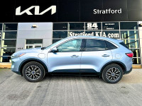 Power Liftgate, Park Assist, Heated Steering Wheel, Heated Seats, Aluminum Wheels! "Stratford Kia Us... (image 4)