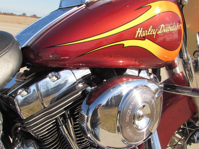 2003 Harley-Davidson FLSTC Heritage Softail Classic Rinehart Exh in Street, Cruisers & Choppers in Leamington - Image 4
