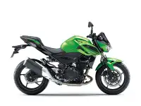 2023 Kawasaki Z400 Green