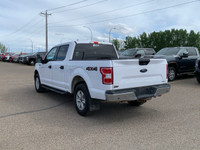 The 2019 Ford F-150 is a workhorse that can be outfitted to suit any number of tasks. Remote Vehicle... (image 4)