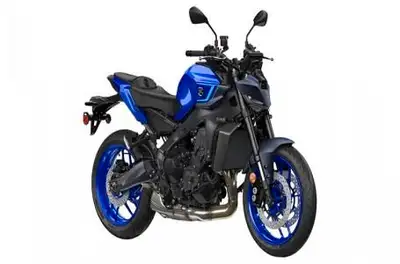 Engine Type: Horizontal In-line Displacement: 54.3 cu. in. (890 cc) Bore and Stroke: Bore: 3.07 in....
