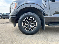 Recent Arrival! 4WD, 10-Way Power Driver & Passenger Seats, 4x4 FX4 Off-Road Decal, 7 Speakers, 8 Pr... (image 2)