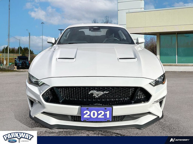 2021 Ford Mustang GT ONE OWNER | 460 HP | AUTOMATIC in Cars & Trucks in Kitchener / Waterloo - Image 2