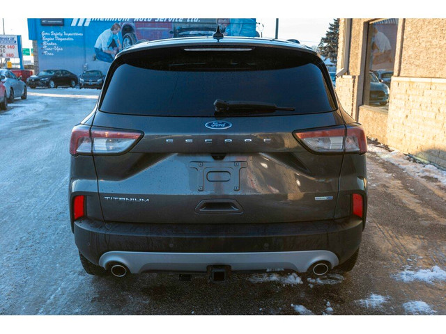  2020 Ford Escape TITANIUM AWD, SUNROOF, REMOTE START, CLEAN CAR in Cars & Trucks in Winnipeg - Image 4