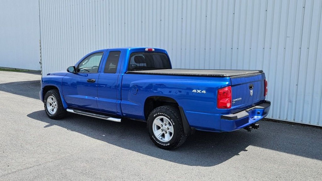 2008 Dodge Dakota SXT in Cars & Trucks in Longueuil / South Shore - Image 4
