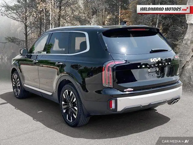 2023 Kia Telluride SX Limited in Cars & Trucks in Hamilton - Image 4