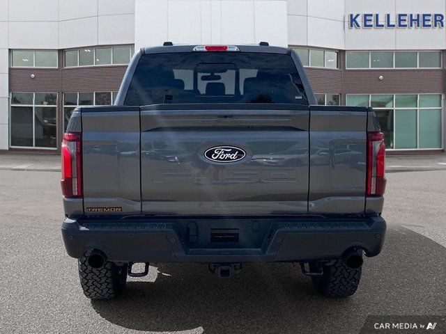 2025 Ford F-150 Tremor in Cars & Trucks in Brandon - Image 4