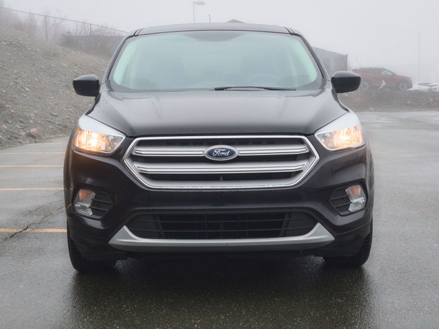 2019 Ford Escape SE in Cars & Trucks in St. John's - Image 2