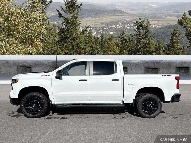 2025 Chevrolet Silverado 1500 LT Trail Boss | Running Boards in Cars & Trucks in Cowichan Valley / Duncan - Image 2