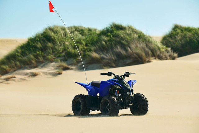 2024 Yamaha YFZ50 Team Yamaha Blue in ATVs in North Bay - Image 2