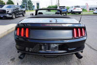 SAFETY INCLUDED LOCAL ONTARIO CAR Very Clean Ford Mustang Coupe 2.3L 4Cyl Eco Boost Convertible Prem... (image 8)