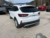 Heated Steering Wheel, Remote Start System, Heated Front Row Seats, Front & Rear Floor Liners, FordP... (image 5)