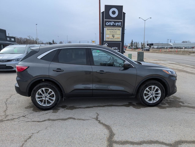 2020 Ford Escape SE | Adaptive Cruise | No Collisions | Carplay in Cars & Trucks in Winnipeg - Image 3