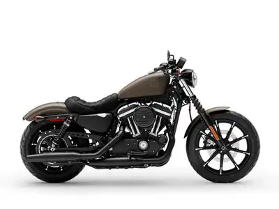 Price $14,995 Doc Fee $499 Plus Tax WE ARE EXCITED TO OFFER THIS: 2021 Iron 883 Authentic Harley-Dav...