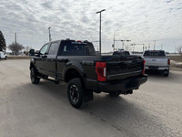 Engine: 8 Cylinder Engine 6.7L Safety Equipment ABS And Driveline Traction Control Side Impact Beams... (image 4)