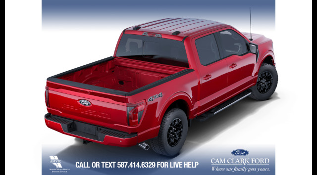 2025 Ford F-150 XLT in Cars & Trucks in Calgary - Image 4