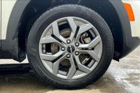 2.0 L 4 Cyl Engine Vehicle Options: Leather Interior, Sunroof, Lane Control, Apple Or Android Auto,... (image 8)