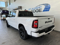 NIGHT EDITION, SPORT PERFORMANCE HOOD, DUAL-PANE PANORAMIC SUNROOF, SPORT LEVEL 1 EQUIPMENT GROUP, P... (image 2)