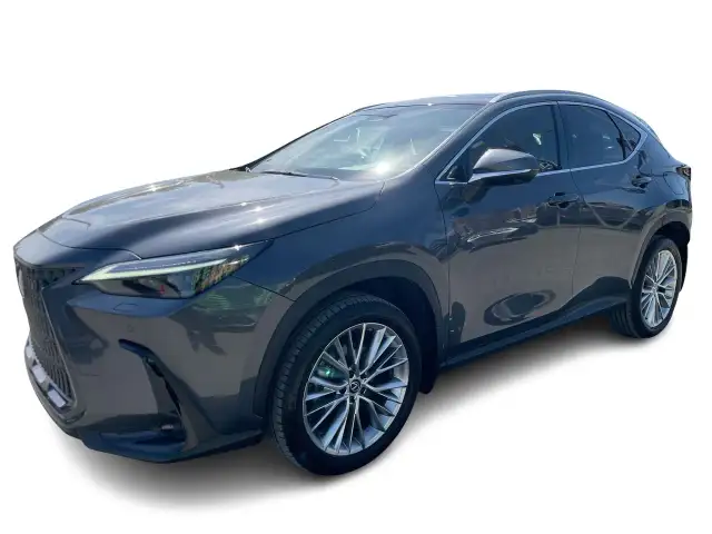 2023 Lexus NX NX 350 / Ultra-Luxe / Camera / Bluetooth / Cuir Bi in Cars & Trucks in Laval / North Shore - Image 8